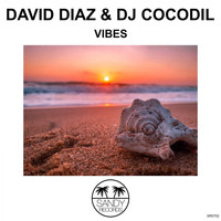 David Diaz & Dj Cocodil - Vibes