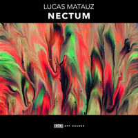 Lucas Matauz - Nectum