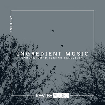 Various Artists - Ingredient Music, Vol. 32