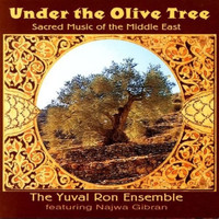 Yuval Ron Ensemble - Under the Olive Tree