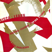 Bisca - Learn (J. Saul Kane remix)