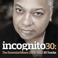 Incognito - Incognito 30: The Essential Mixes 2003-2012
