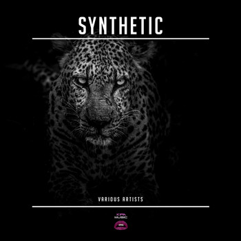 Various Artists - Synthetic