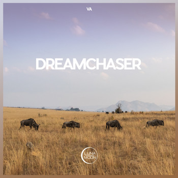 Various Artists - Dreamchaser
