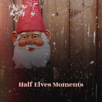 Various Artists - Half Elves Moments