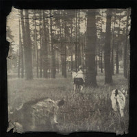 Linden - the promises