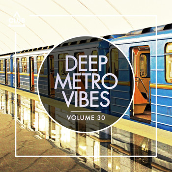Various Artists - Deep Metro Vibes, Vol. 30 (Explicit)