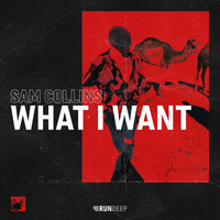 Sam Collins - What I Want