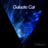 Galactic Cat / - Nebula