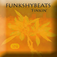 FunkshyBeats / - Finkin