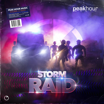 Storm - RAID