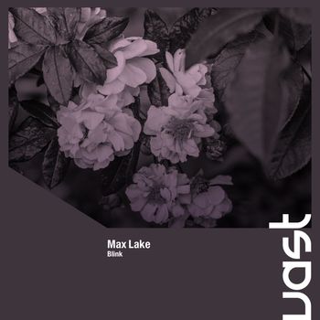 Mak5ast - Blink