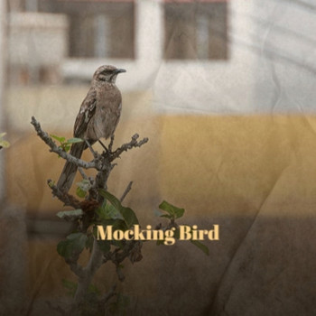 Various Artist - Mocking Bird