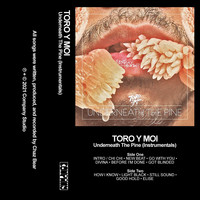 Toro Y Moi - Underneath the Pine (Instrumentals)