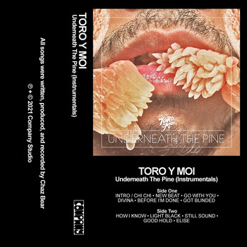 Toro Y Moi - Underneath the Pine (Instrumentals)