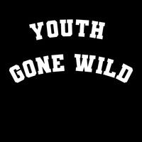 Flyswatter - Youth Gone Wild