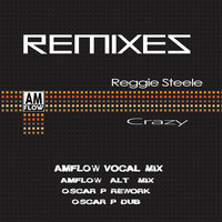 Reggie Steele - Crazy (The Remixes)