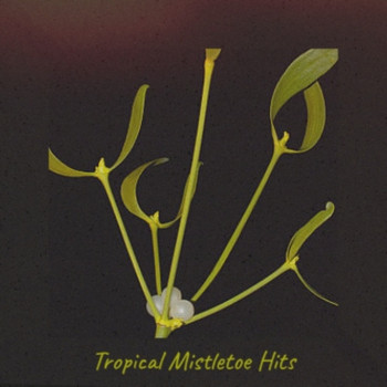 Various Artists - Tropical Mistletoe Hits