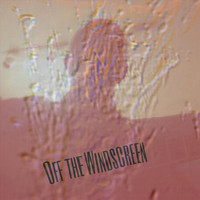 Splat - Off the Windscreen