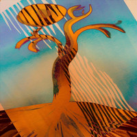 Otter - Old Growth