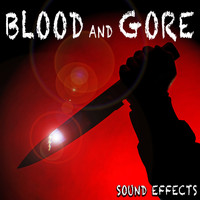 Sound Ideas - Blood and Gore Sound Effects