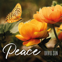David Sun - Peace