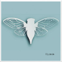 Cicada - Cicada (Explicit)