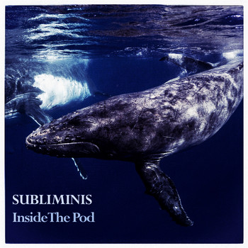 SUBLIMINIS - Whale Song XIII - Inside The Pod