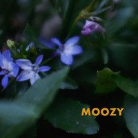 mooZY - Moozy (Explicit)
