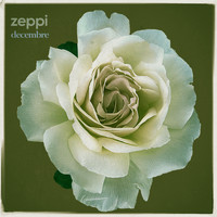 Zeppi - decembre