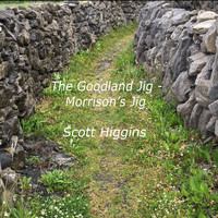 Scott Higgins - The Goodland Jig / Morrison's Jig