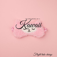 Flight Take Charge - Kawaii (Explicit)