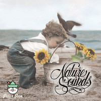 Hal Wright - Nature Sounds