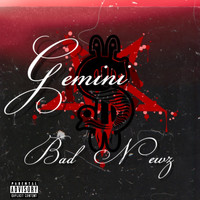 Bad Newz - Gemini