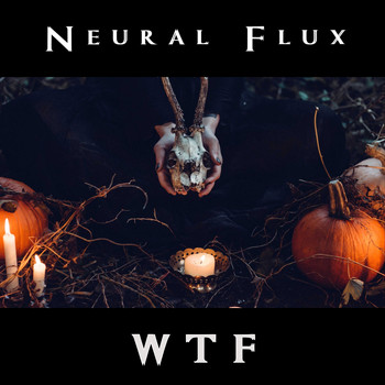 Neural Flux / - WTF