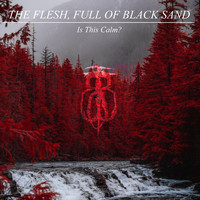 The Flesh Full of Black Sand / - Is This Calm?