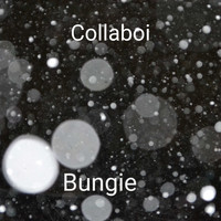 Collaboi / - Bungie