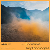 Edamame - Tray Landscapes