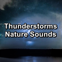 Sleep Tribe - Thunderstorms Nature Sounds
