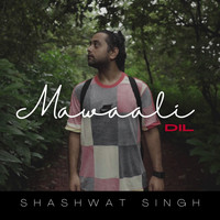 Shashwat Singh - Mawaali Dil