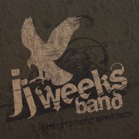 JJ Weeks Band - Unsystematic Approach