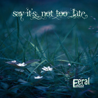 Feral Ghost - Say It's Not Too Late