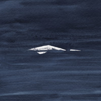 Kauan - Raivo