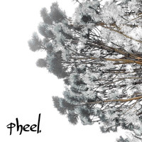 Pheel. - benefit of the doubt.
