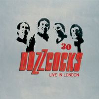 Buzzcocks - 30: Live In London (Explicit)