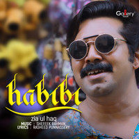 Zia Ul Haq - Habibi