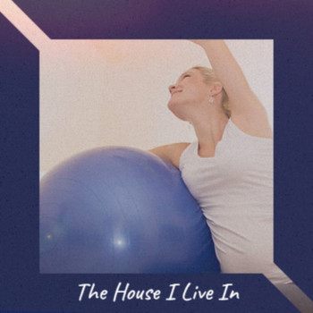 Various Artists - The House I Live In