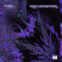 cosmox - Adiabatic Braiding Process