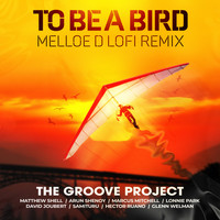 The Groove Project - To Be a Bird (Melloe D LoFi Remix)