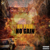 Rocksteady - No Pain No Gain (Explicit)